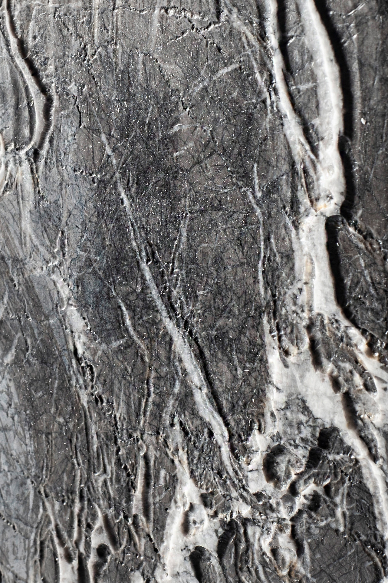 Grigio Carnico